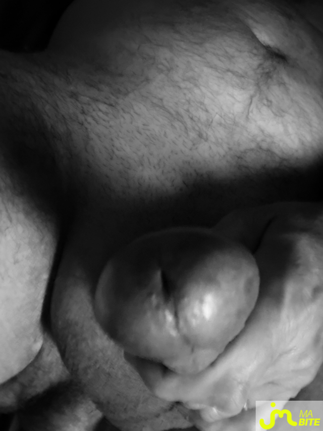 bites de Mau6950