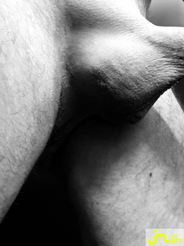 bites de Mau6950