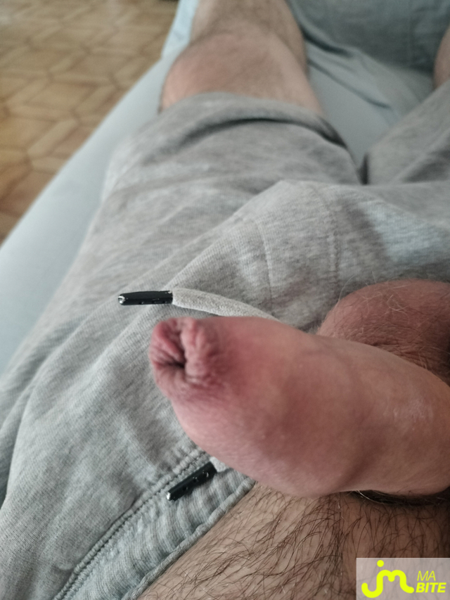 bites de Geogeo40 