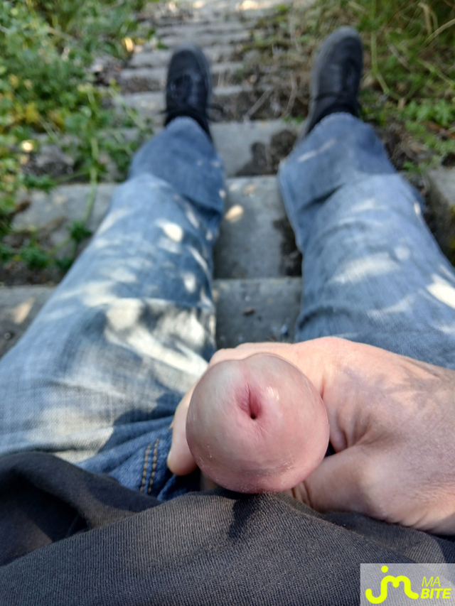 bites de Santseo