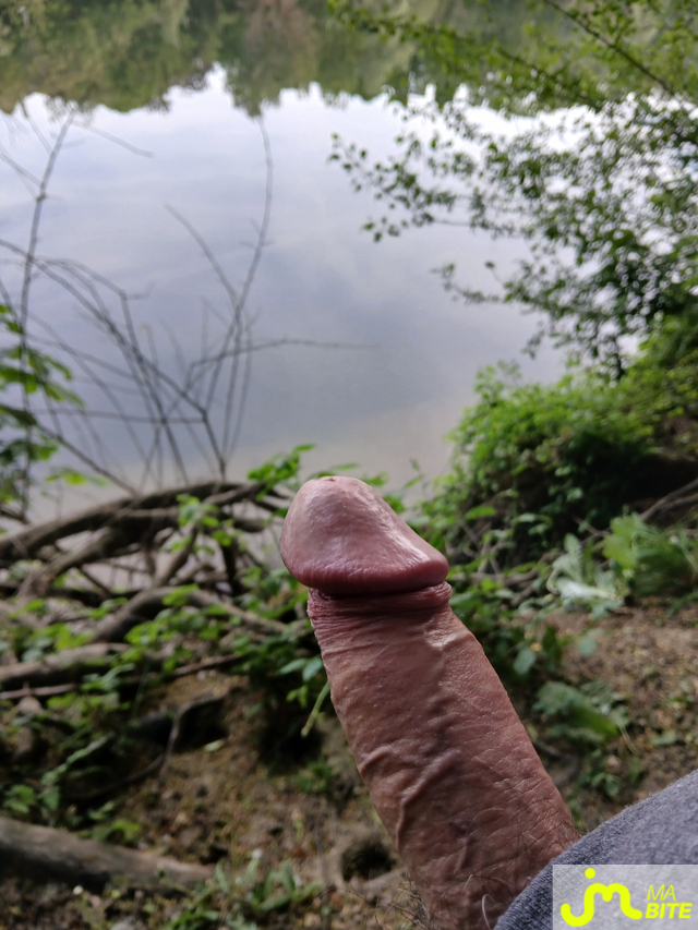 bites de Santseo