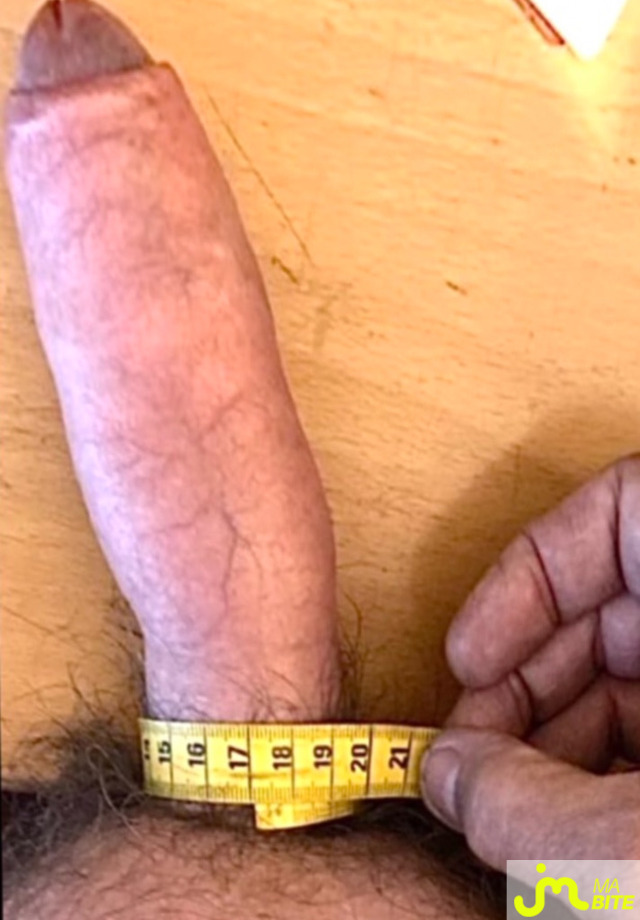 bites de Lalex