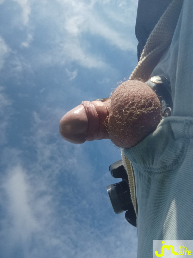 bites de Bulge01 