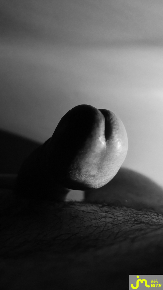 bites de Fana-seins