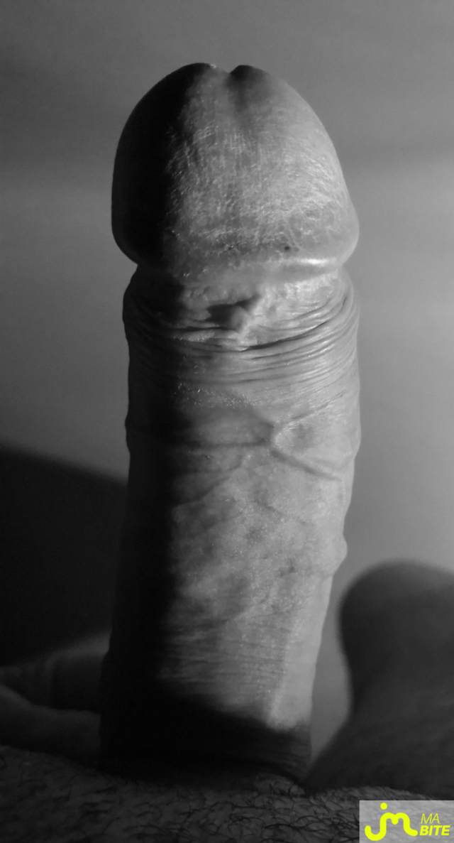 bites de Fana-seins