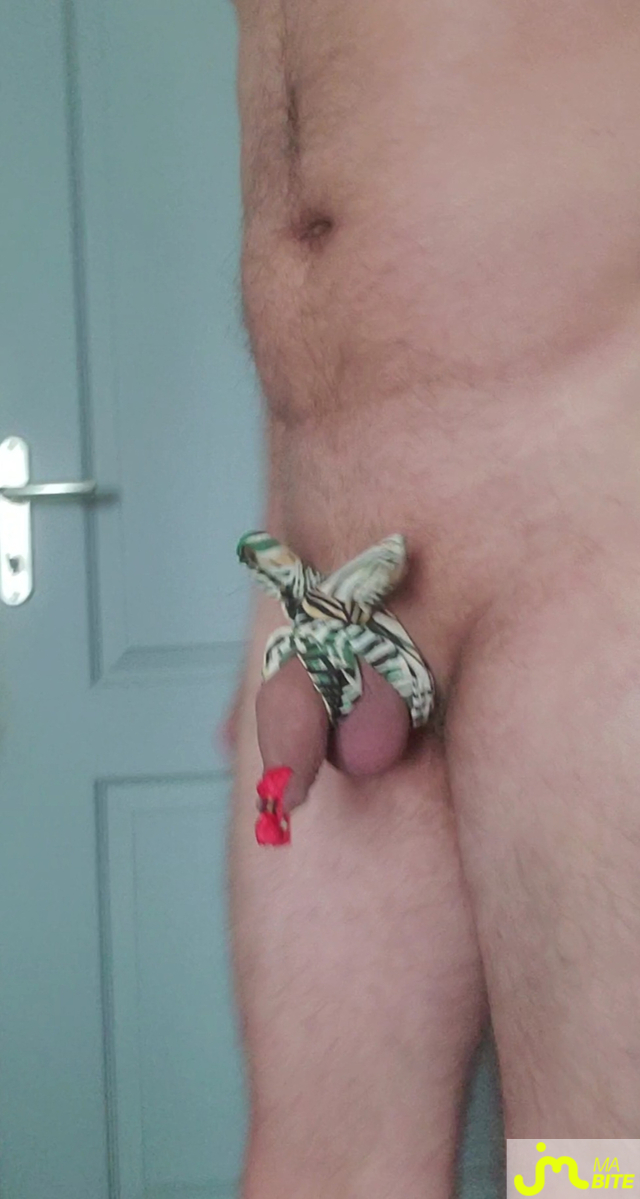 bites de Queute19