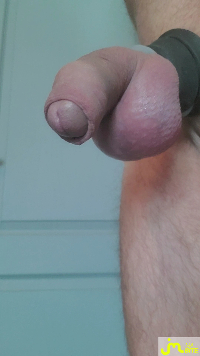 bites de Queute19