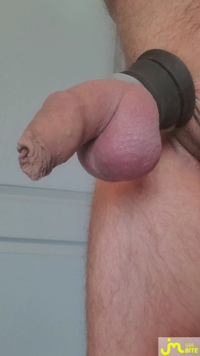 bites de Queute19