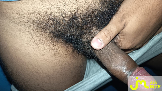 bites de fly9741000