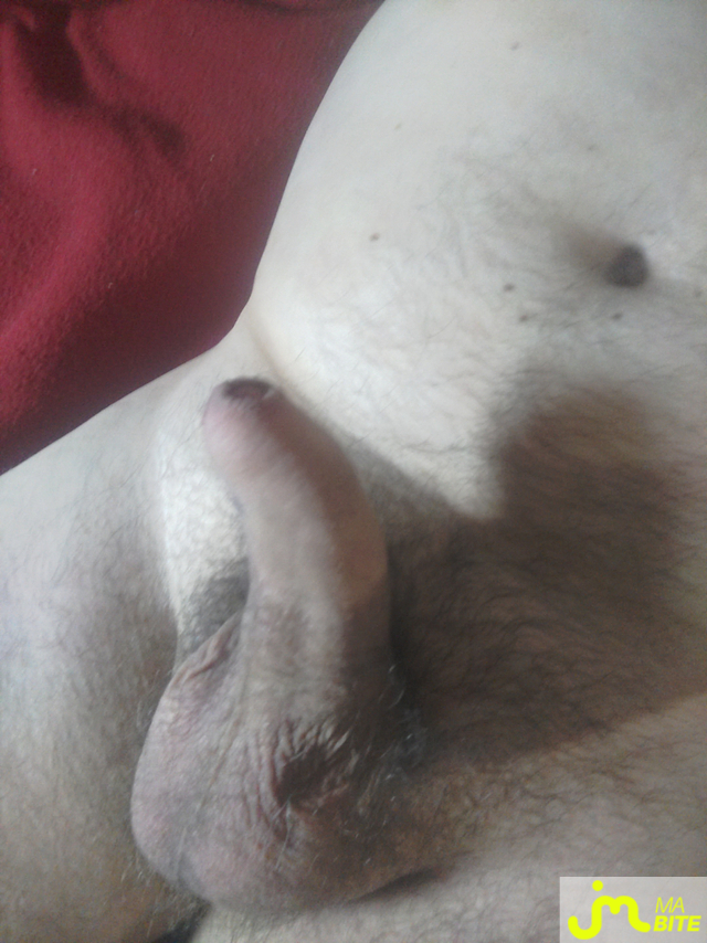 bites de Jimexib