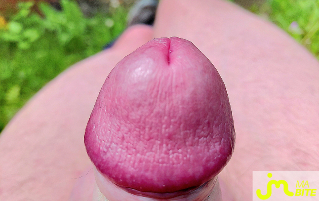 bites de Azurea