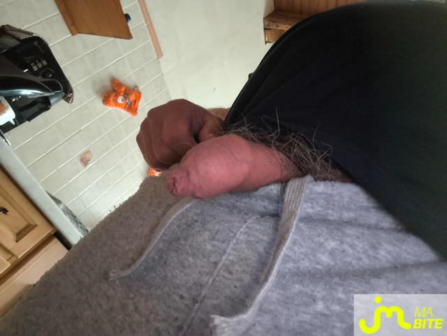 bites de Guitou0319