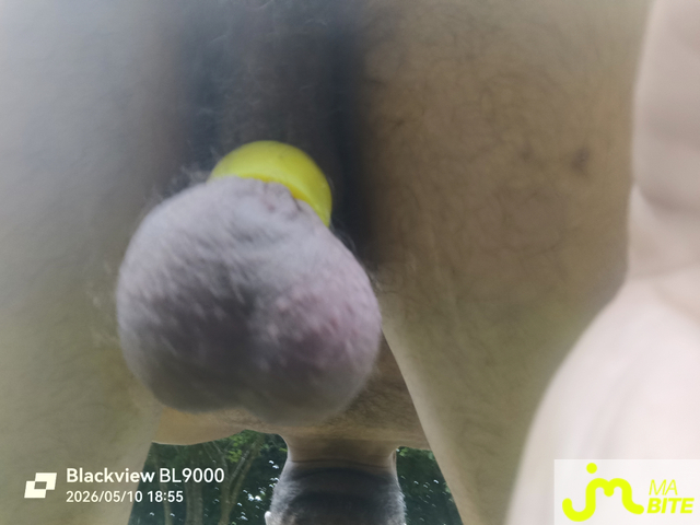 bites de &Eacute;tirement boules
