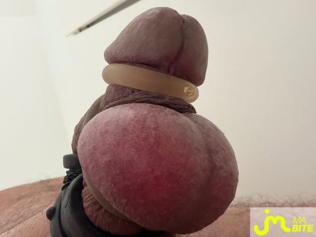 bites de Mau6950