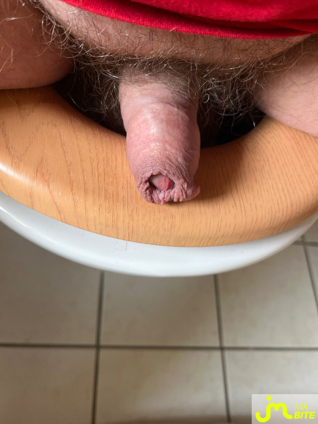 bites de Fradu