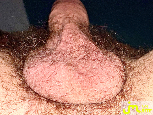 bites de Suceusedu31