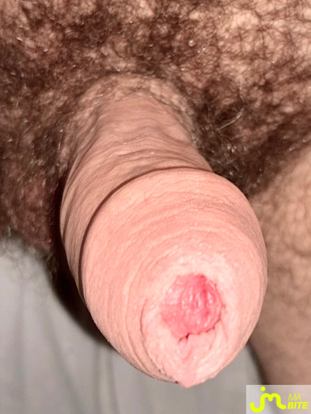bites de Suceusedu31