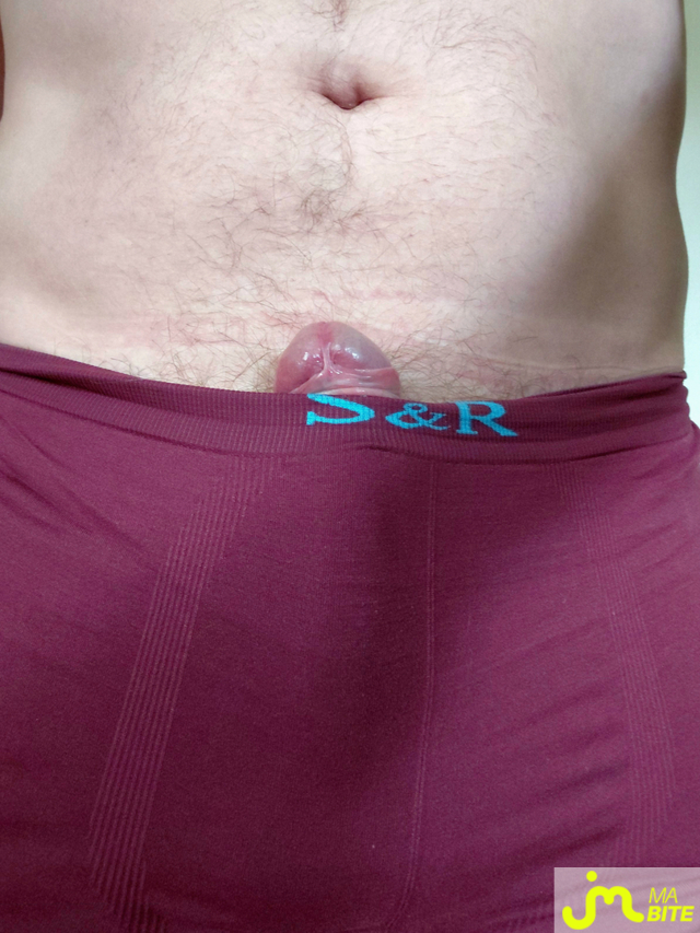 bites de Azurea