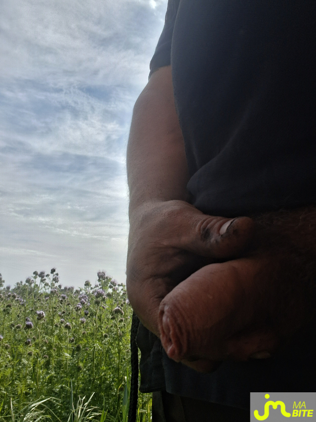 bites de John68