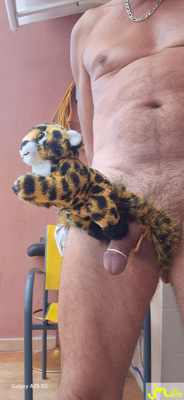 Photos de bites : Defi 