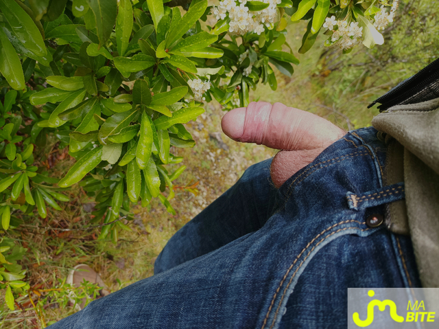 bites de Bulge01 