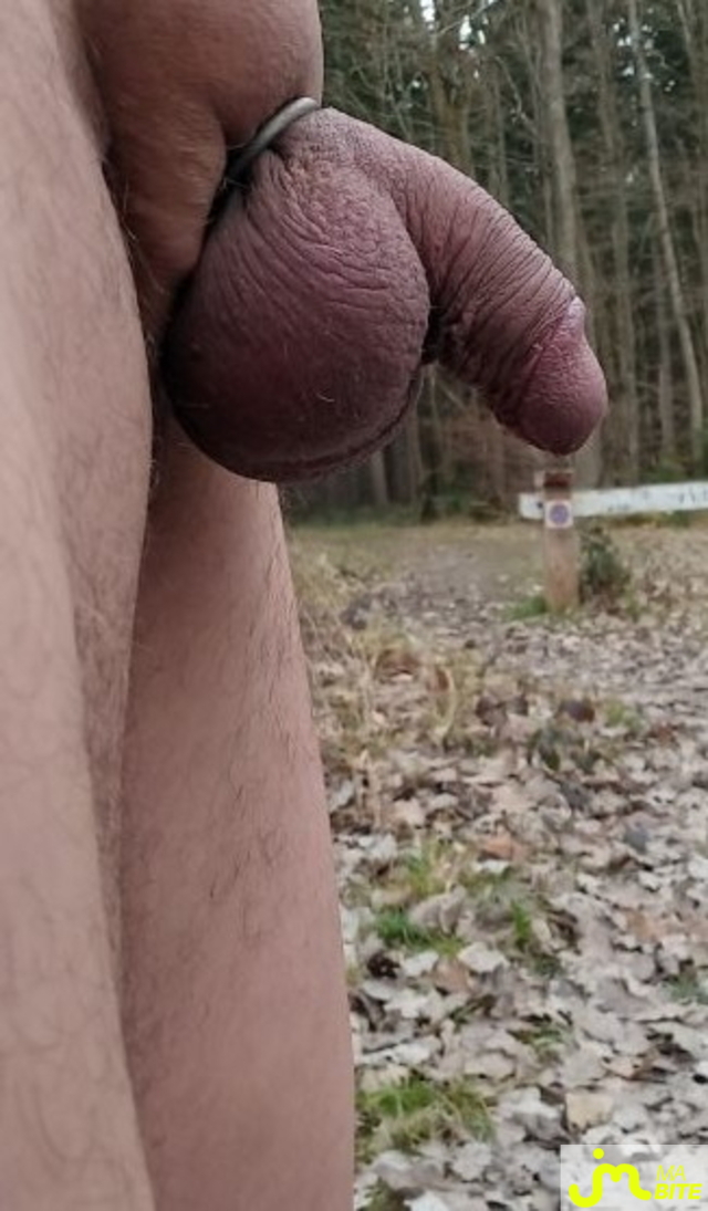 bites de diable666 