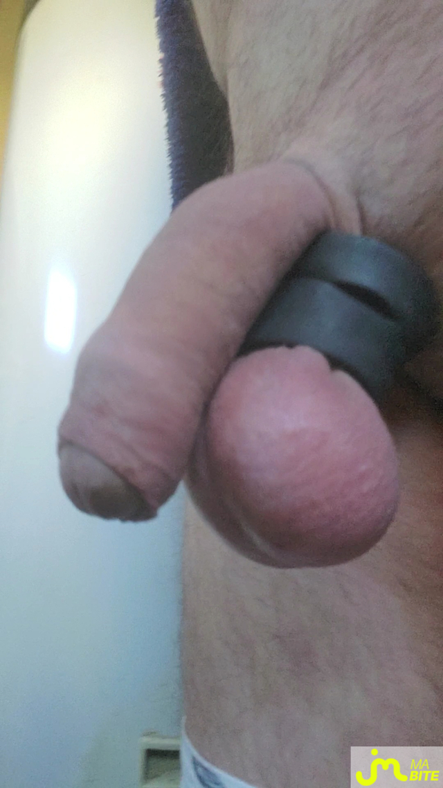 bites de Queute19