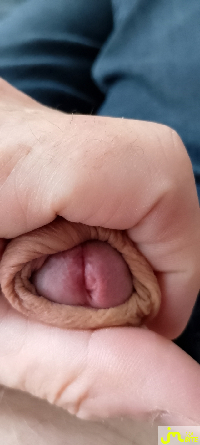 bites de Veys 59