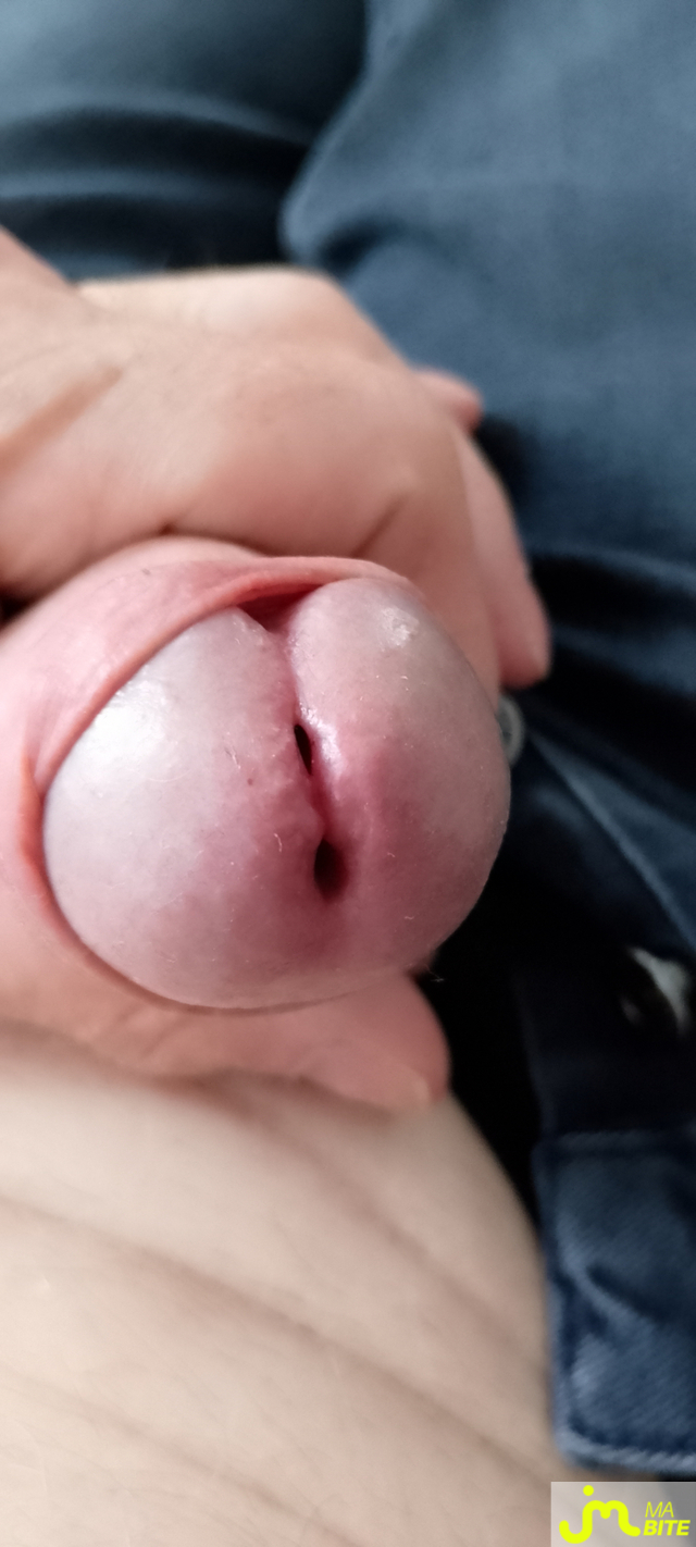 bites de Veys 59