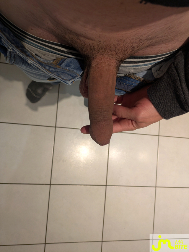 bites de Pr&eacute;puce86