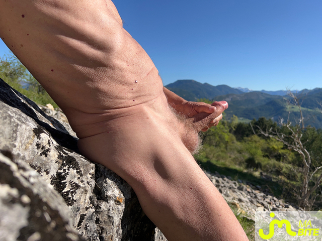 bites de vertvif