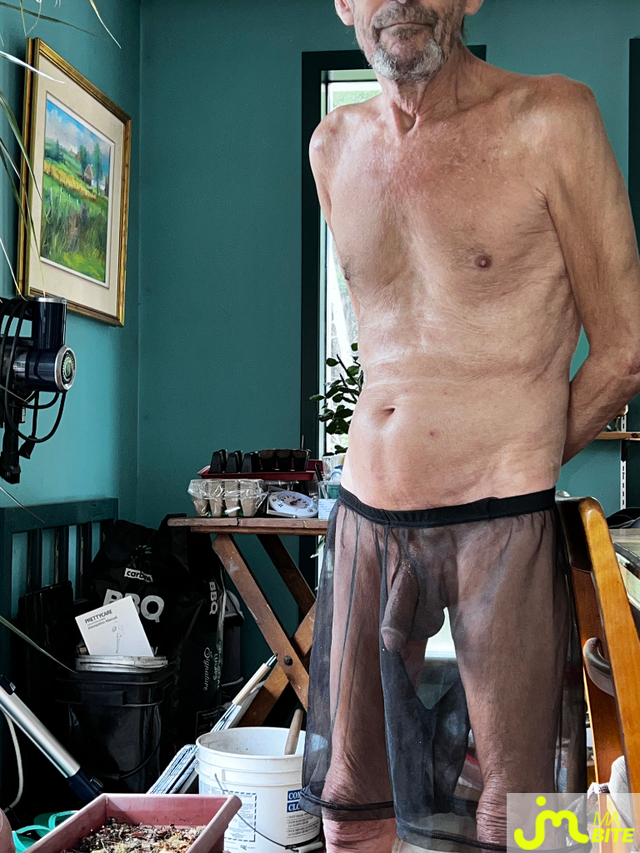 bites de jolie27