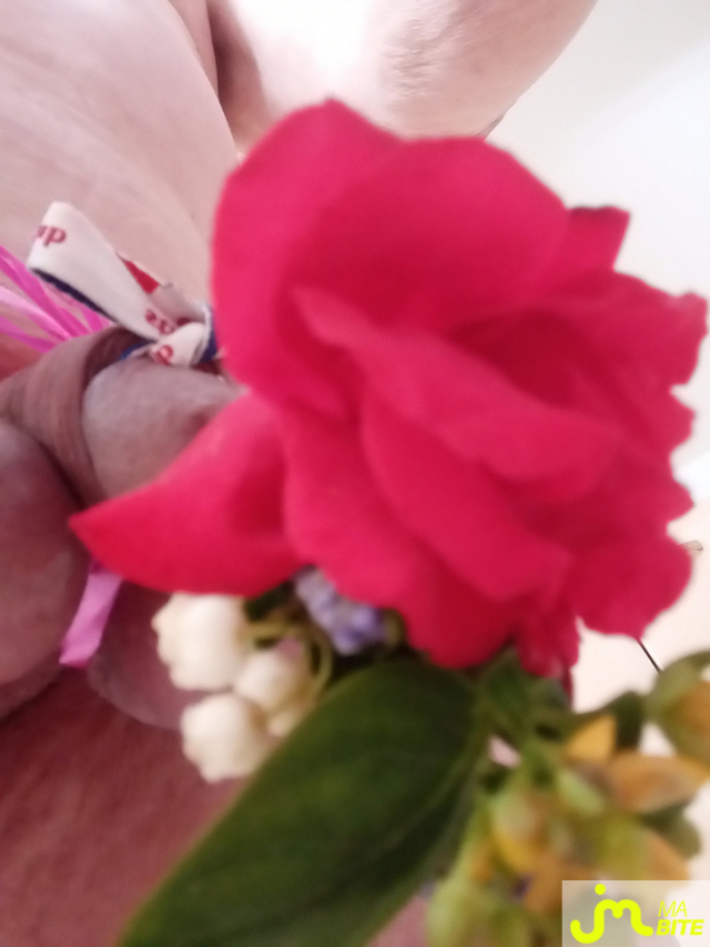 bites de mini kiki