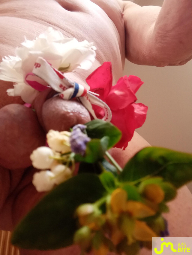 bites de mini kiki