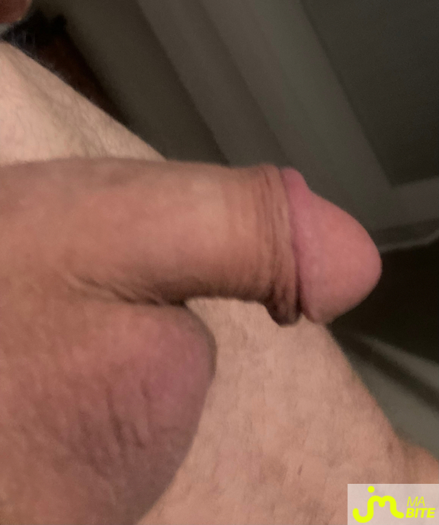 bites de Mortimer 12