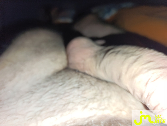 bites de nono41