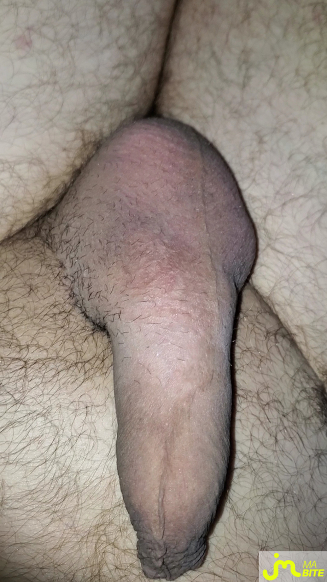 bites de Queute19