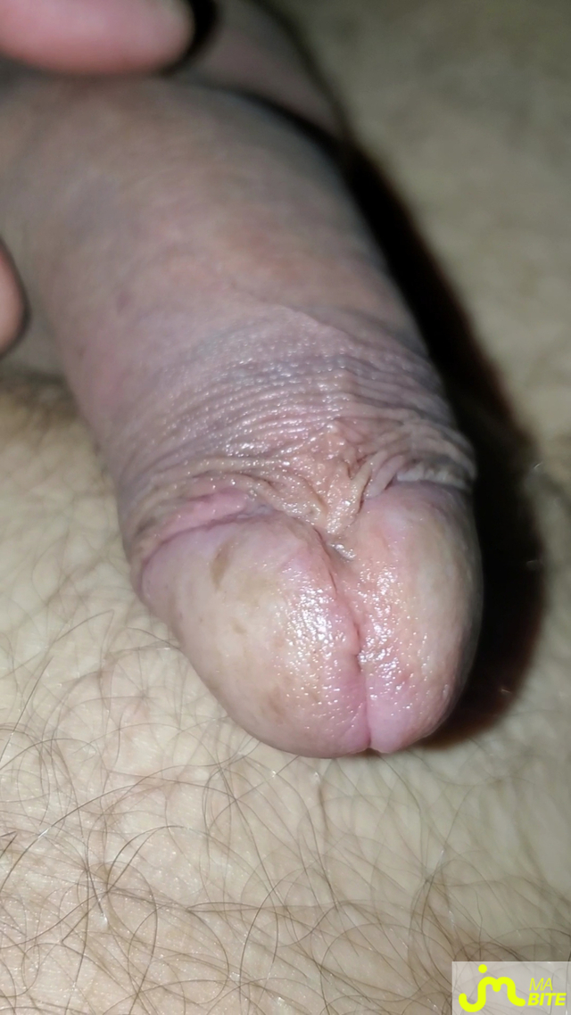 bites de Queute19