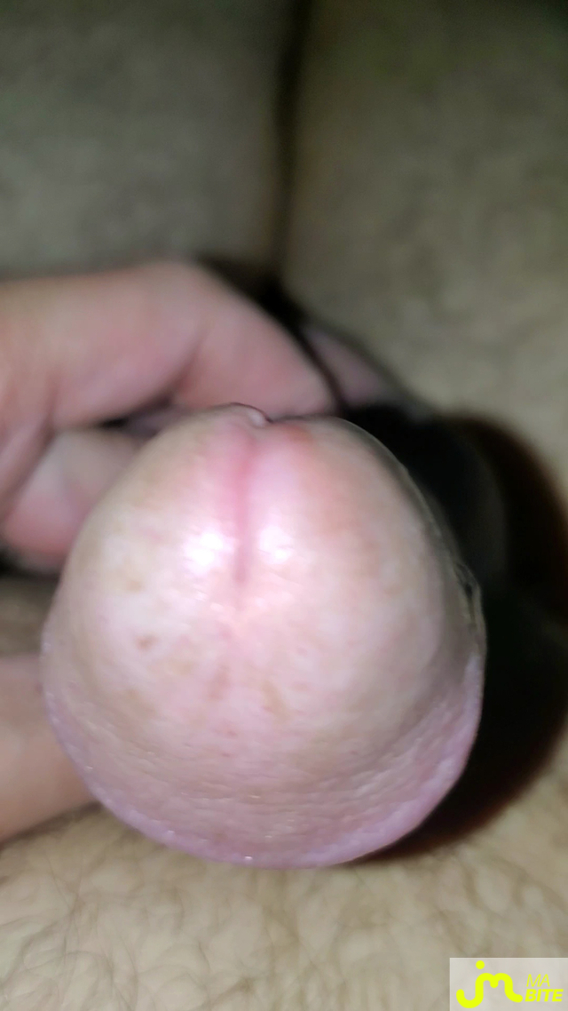 bites de Queute19