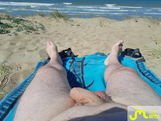 Photos de bites : Plage