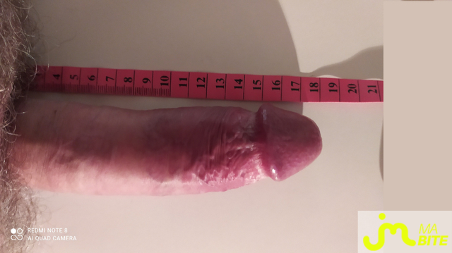 bites de 18CM5.5