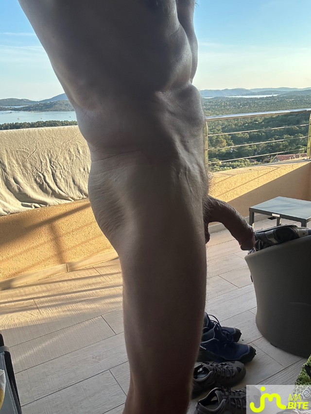 bites de JM54