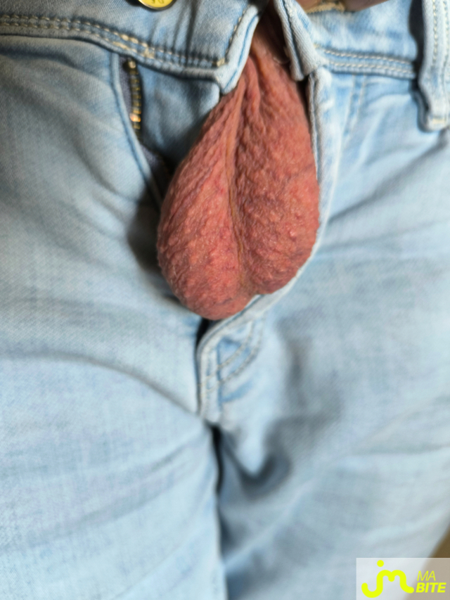 bites de Coucou_Ouep