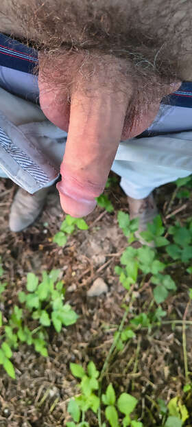 Photos de bites : Deuxieme