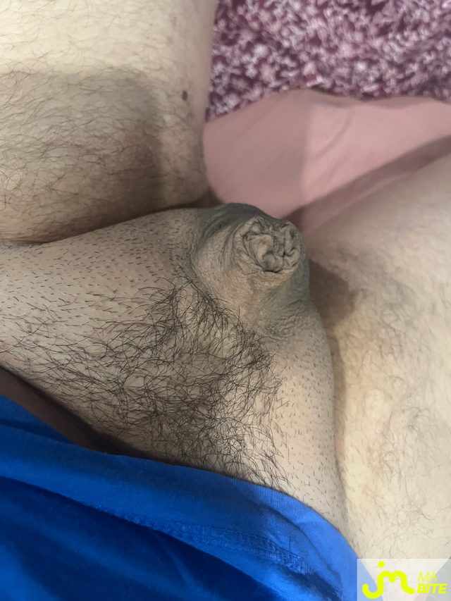 bites de Chat
