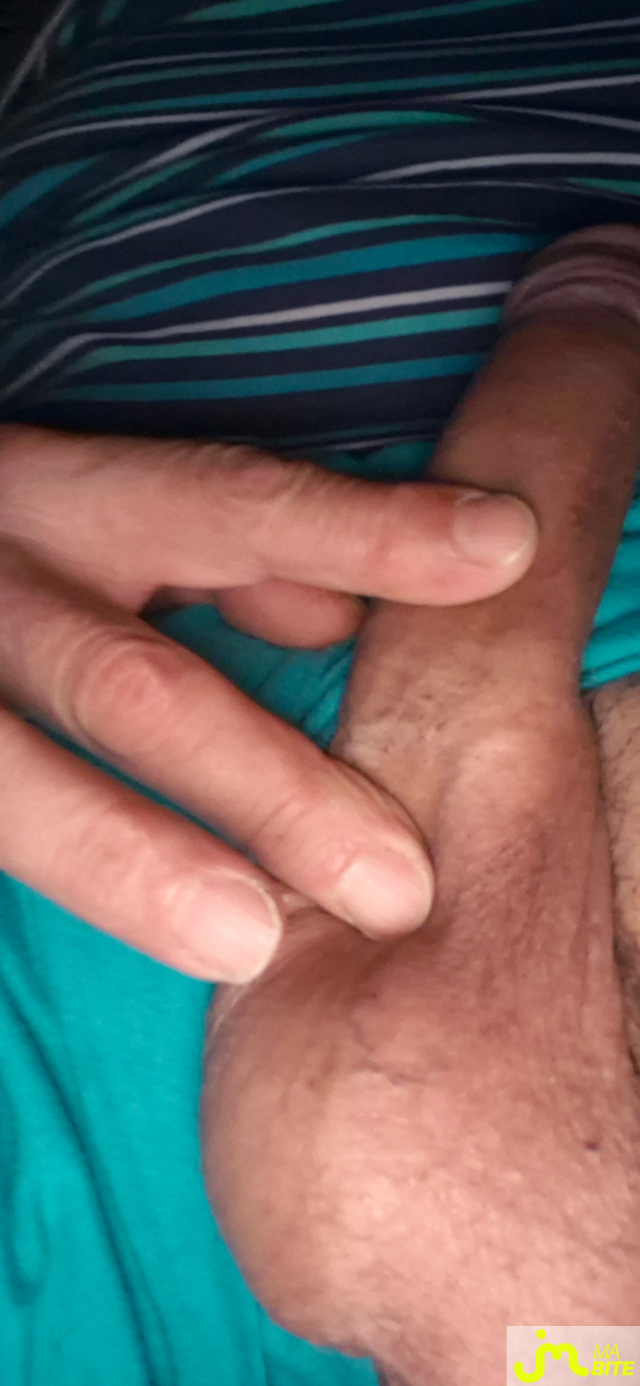 bites de Nounours78