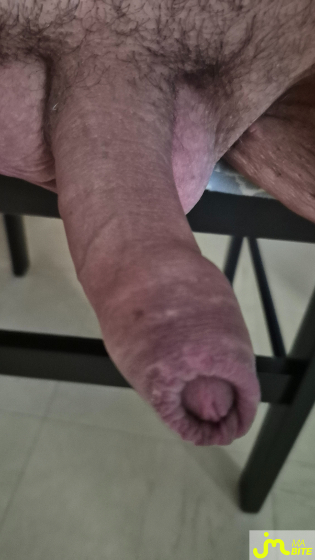 bites de Nounours78