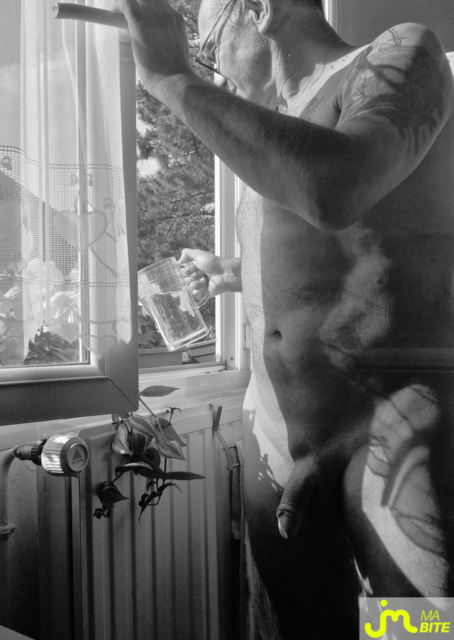 bites de Mieldoux 
