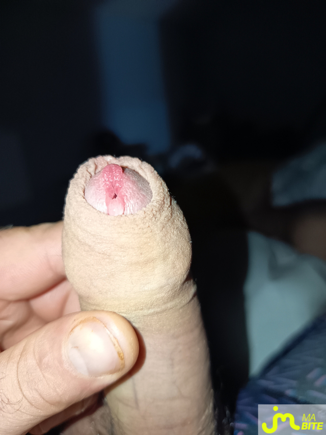 bites de coco8413
