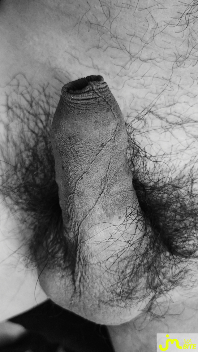 Photos de bites : Session noire et blanc